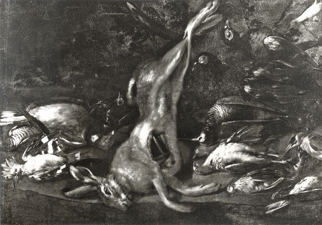Anonimo — Pittore di Rodolfo Lodi - sec. XVII - Natura morta con selvaggina — insieme